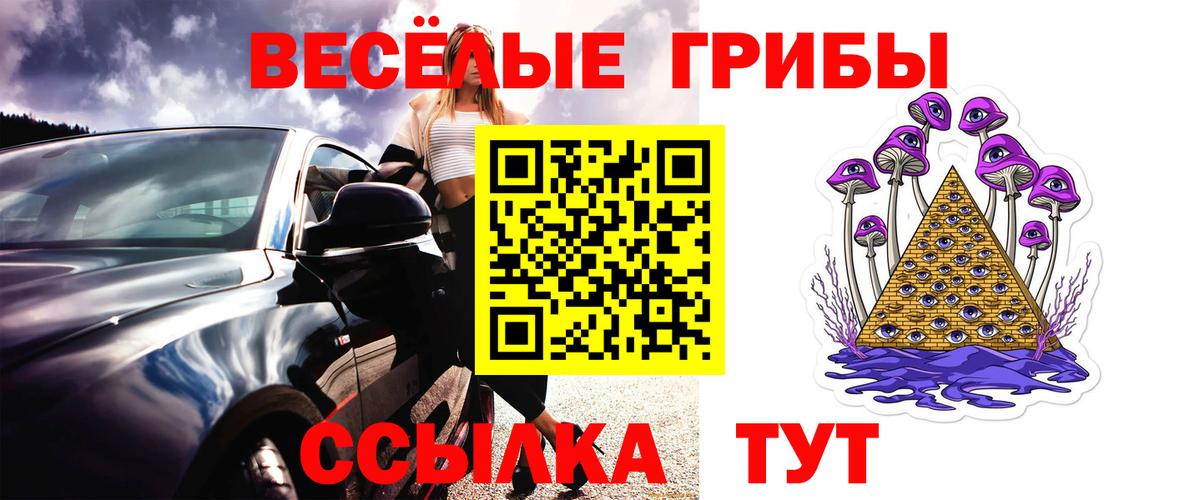 Галлюциногенные грибы Psilocybine cubensis  Псилоцибиновые грибы GOLDEN TEACHER  Ачинск  Вход с VPN 